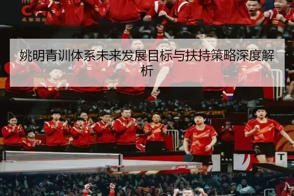 姚明青训体系未来发展目标与扶持策略深度解析