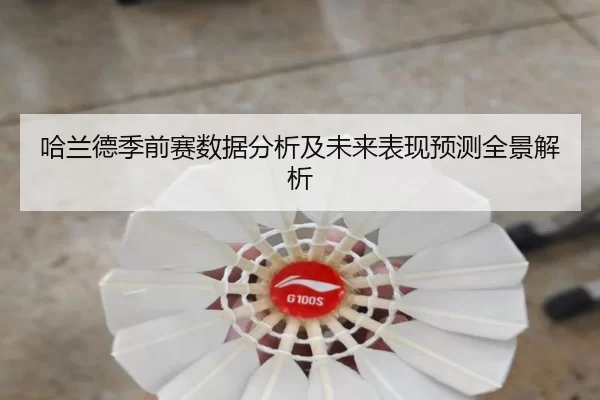 哈兰德季前赛数据分析及未来表现预测全景解析