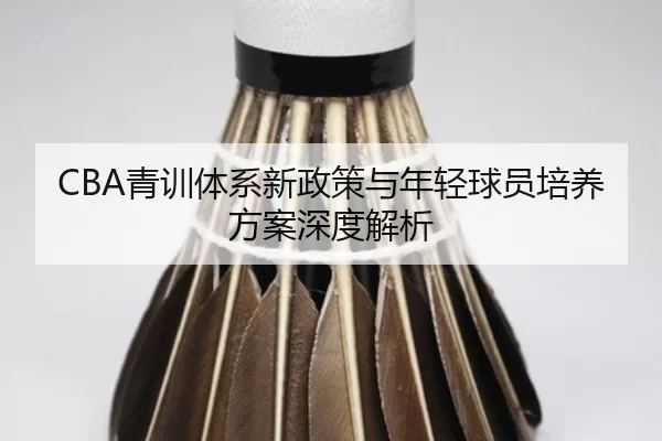 CBA青训体系新政策与年轻球员培养方案深度解析