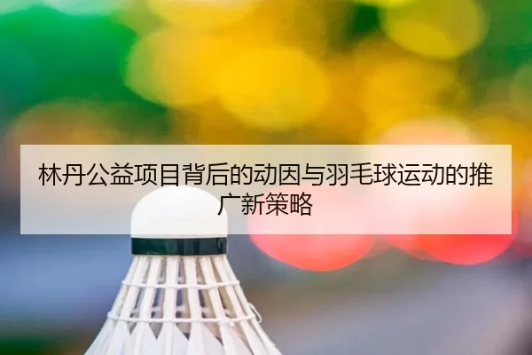 林丹公益项目背后的动因与羽毛球运动的推广新策略