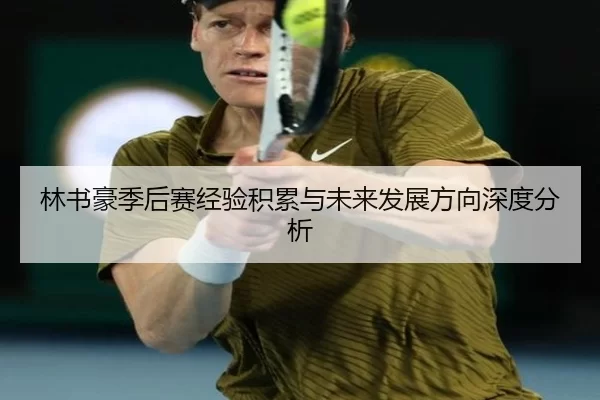林书豪季后赛经验积累与未来发展方向深度分析