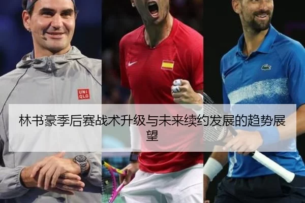 林书豪季后赛战术升级与未来续约发展的趋势展望