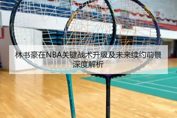 林书豪在NBA关键战术升级及未来续约前景深度解析