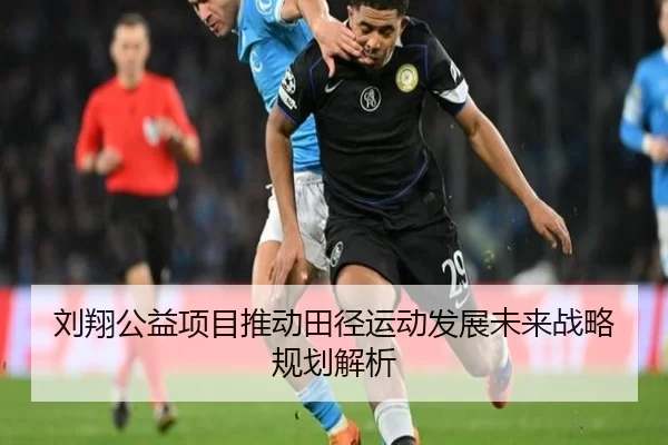 刘翔公益项目推动田径运动发展未来战略规划解析